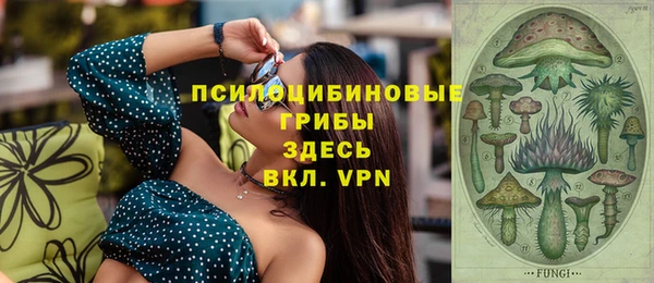 хмурый Балабаново