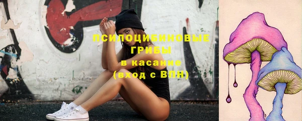 хмурый Балахна