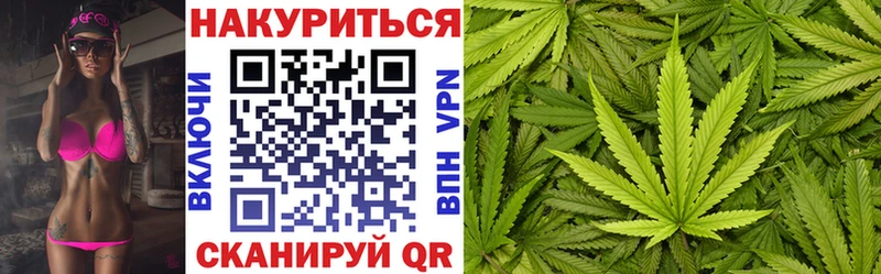 купить наркотики сайты  MEGA как войти  Шишки марихуана план  Тулун 